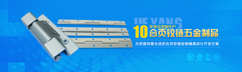 10年專業生產合頁鉸鏈五金制品