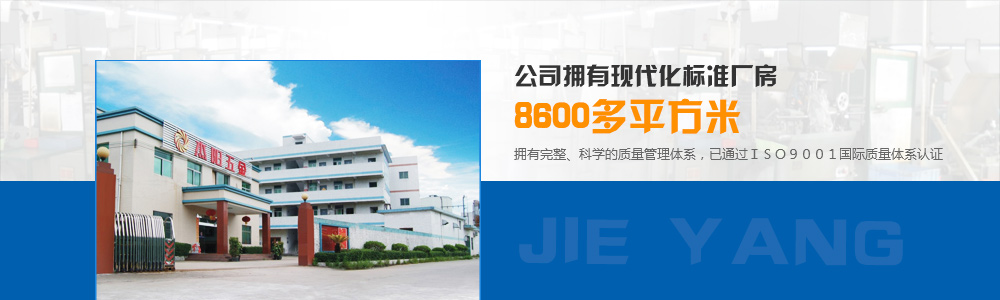 公司擁有現代化標準廠房